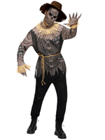 Load image into Gallery viewer, https://img.ltwebstatic.com/images3_spmp/2024/09/14/bc/17262988523c4f9baf94d86576687acdcb0c93d397.jpg
