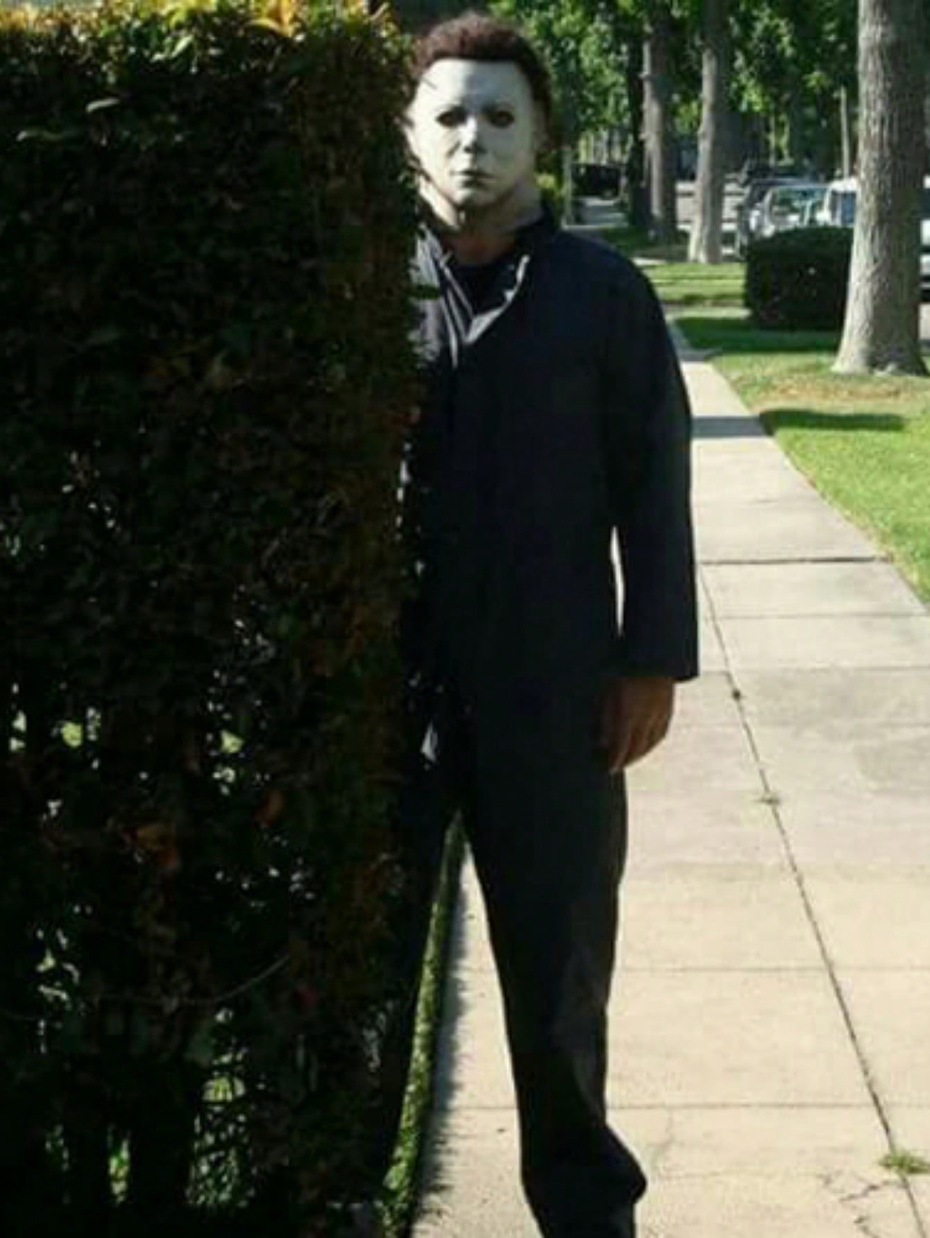 https://img.ltwebstatic.com/v4/j/spmp/2025/03/31/5f/1743409763281b8f216e1a7c8419c9c9fe3652c2fe.jpg